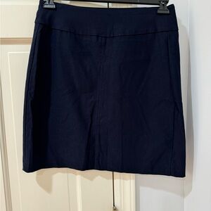 Lulu B size 6 blue skirt